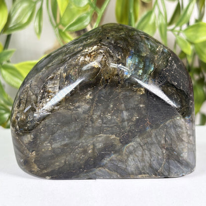 Labradorite Crystal Freeform - Gem Avenue Retail