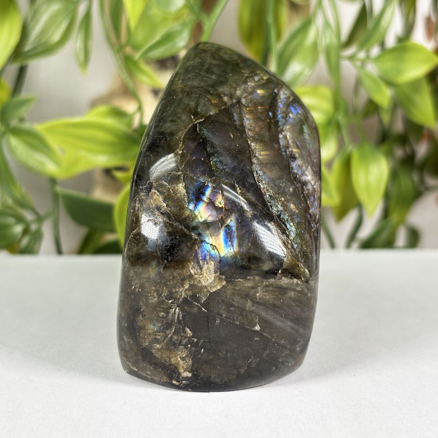 Labradorite Crystal Freeform - Gem Avenue Retail