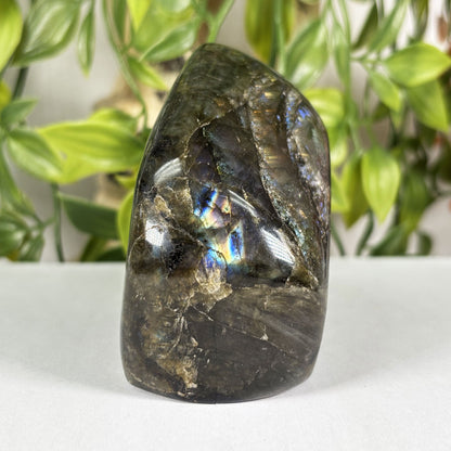 Labradorite Crystal Freeform - Gem Avenue Retail
