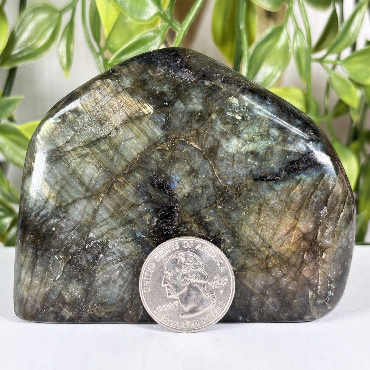 Labradorite Crystal Freeform - Gem Avenue Retail