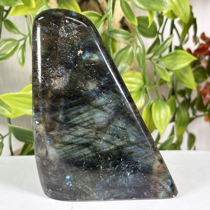 Labradorite Crystal Freeform  - Gem Avenue Retail