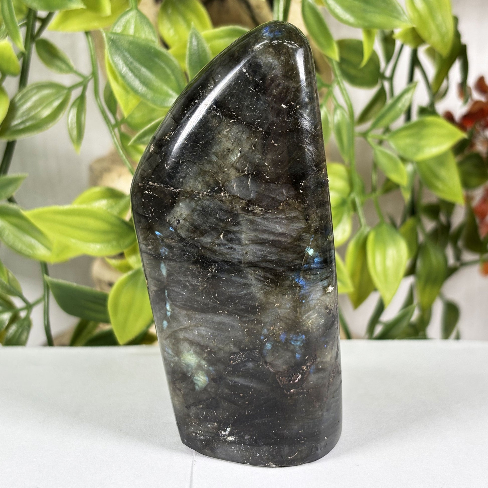Labradorite Crystal Freeform  - Gem Avenue Retail