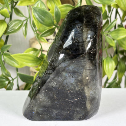 Labradorite Crystal Freeform  - Gem Avenue Retail