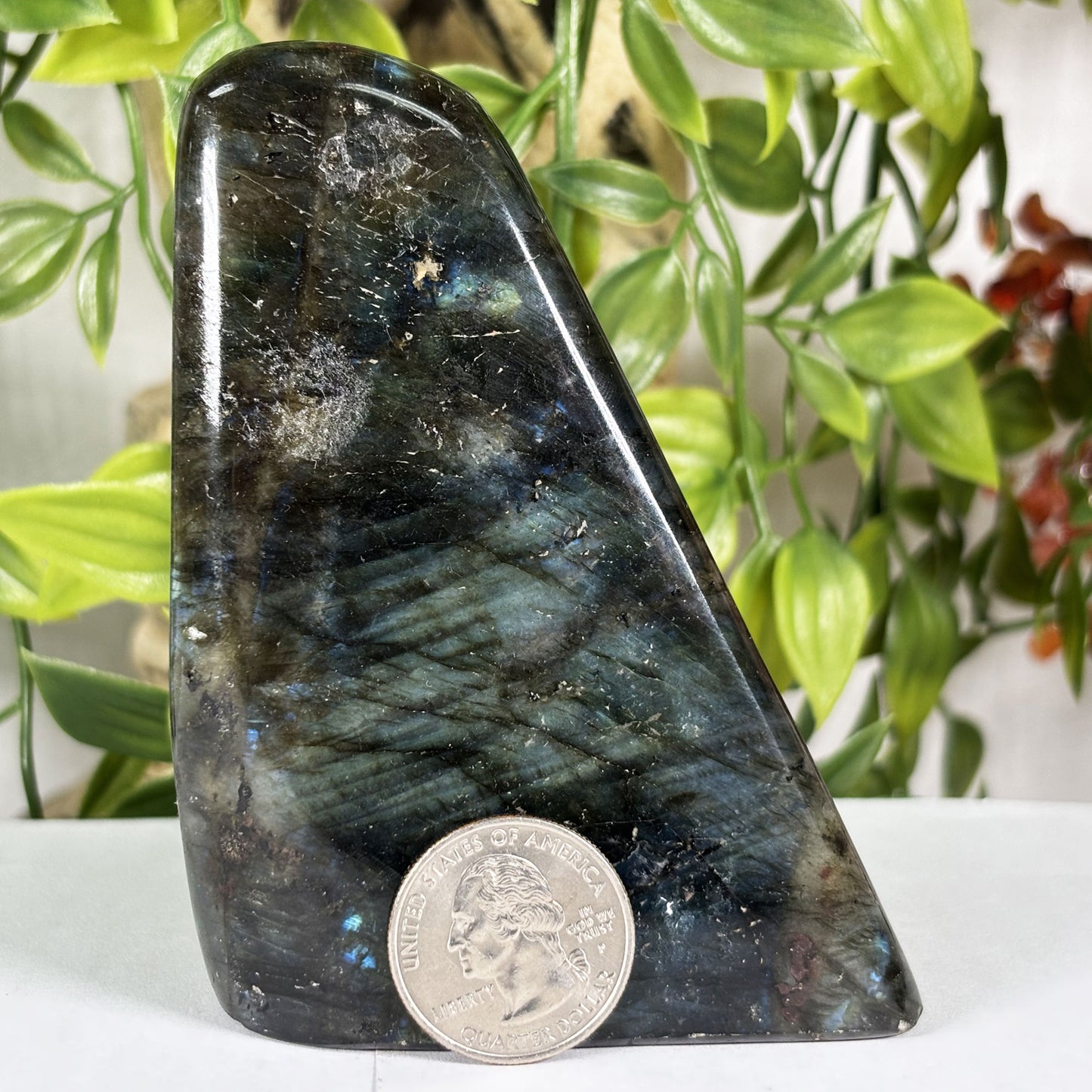 Labradorite Crystal Freeform  - Gem Avenue Retail