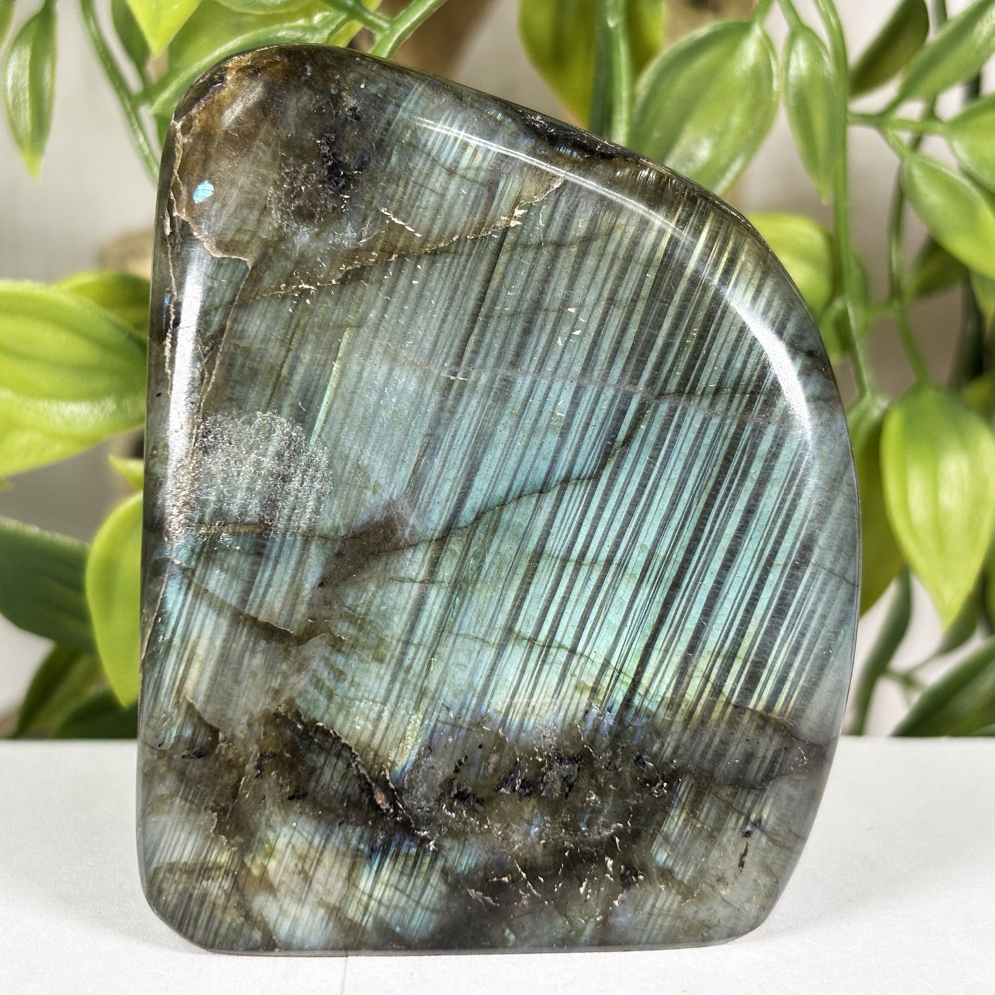 Labradorite Crystal Freeform - Gem Avenue Retail