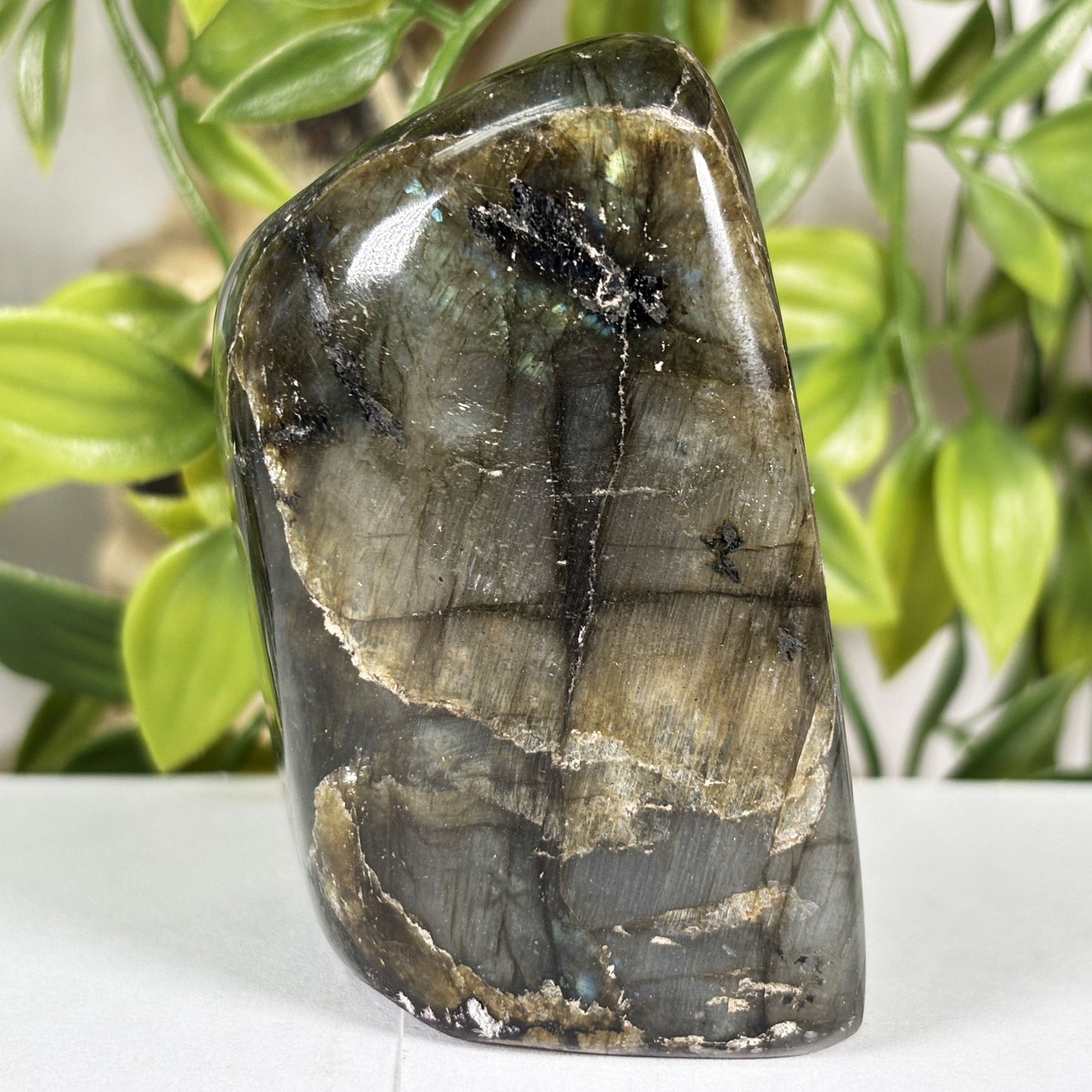 Labradorite Crystal Freeform - Gem Avenue Retail