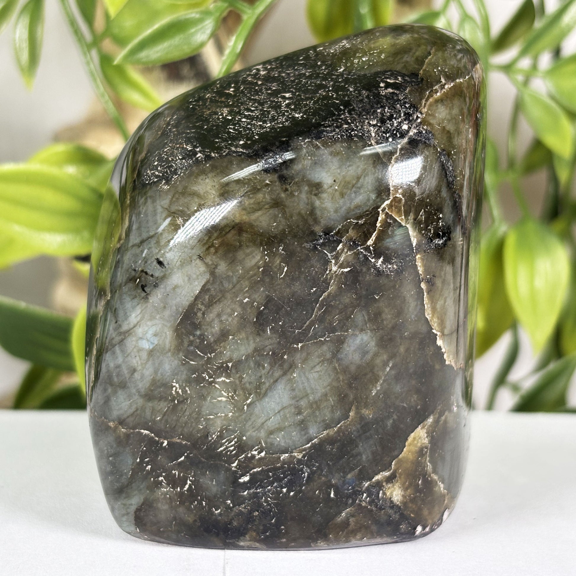 Labradorite Crystal Freeform - Gem Avenue Retail