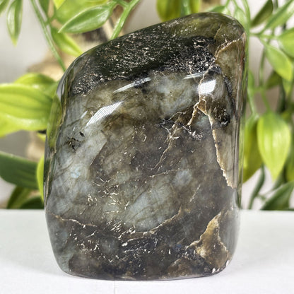 Labradorite Crystal Freeform - Gem Avenue Retail