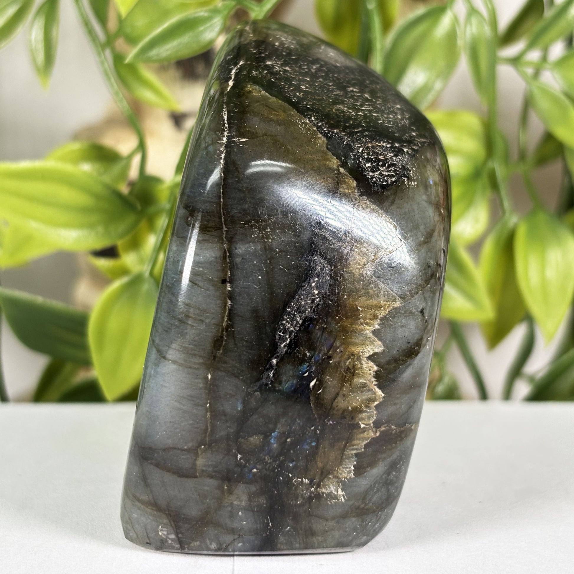 Labradorite Crystal Freeform - Gem Avenue Retail