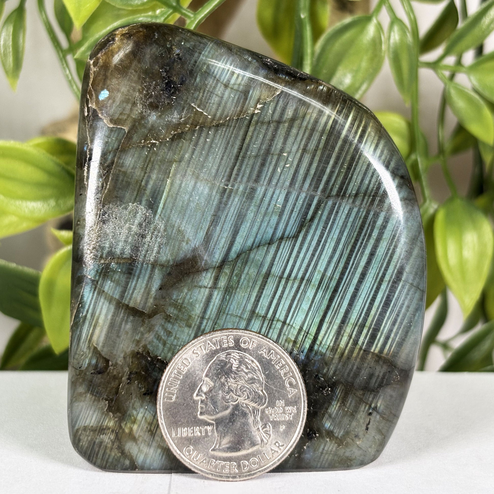 Labradorite Crystal Freeform - Gem Avenue Retail