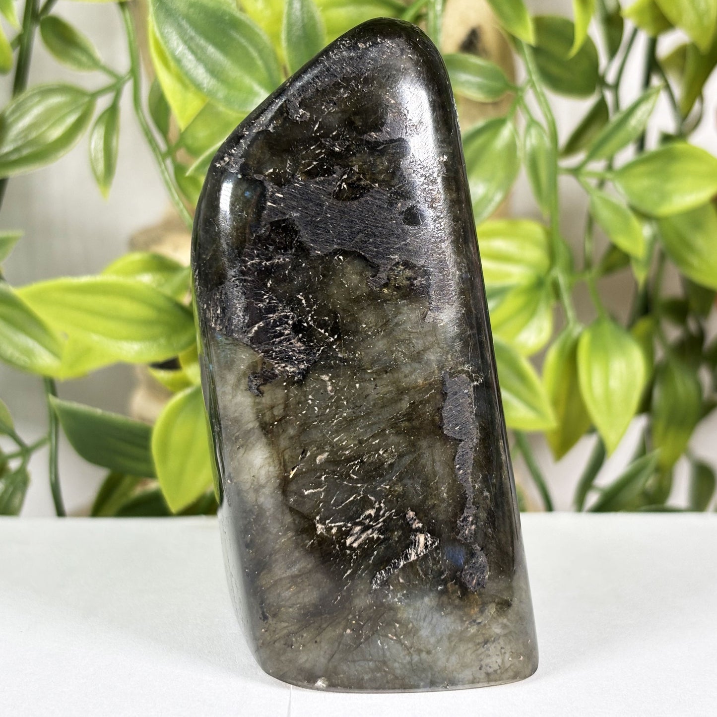 Labradorite Crystal Freeform - Gem Avenue Retail
