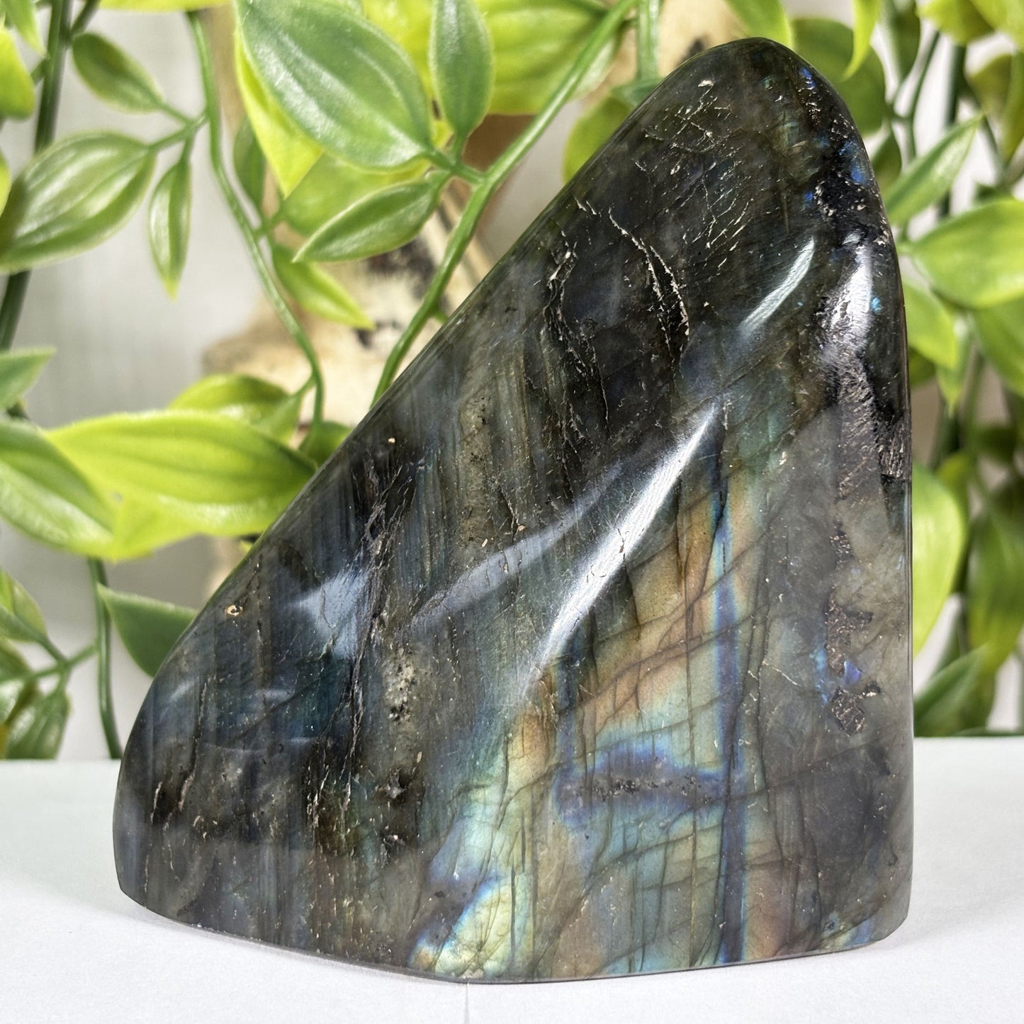 Labradorite Crystal Freeform - Gem Avenue Retail