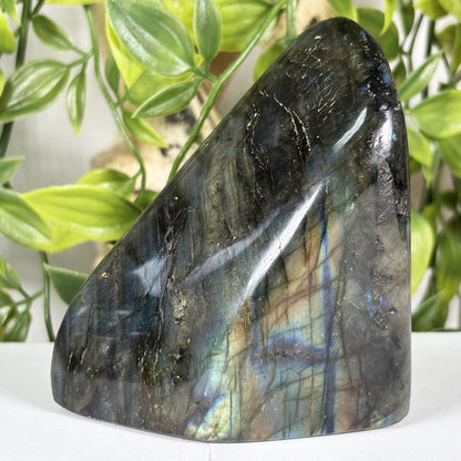 Labradorite Crystal Freeform - Gem Avenue Retail