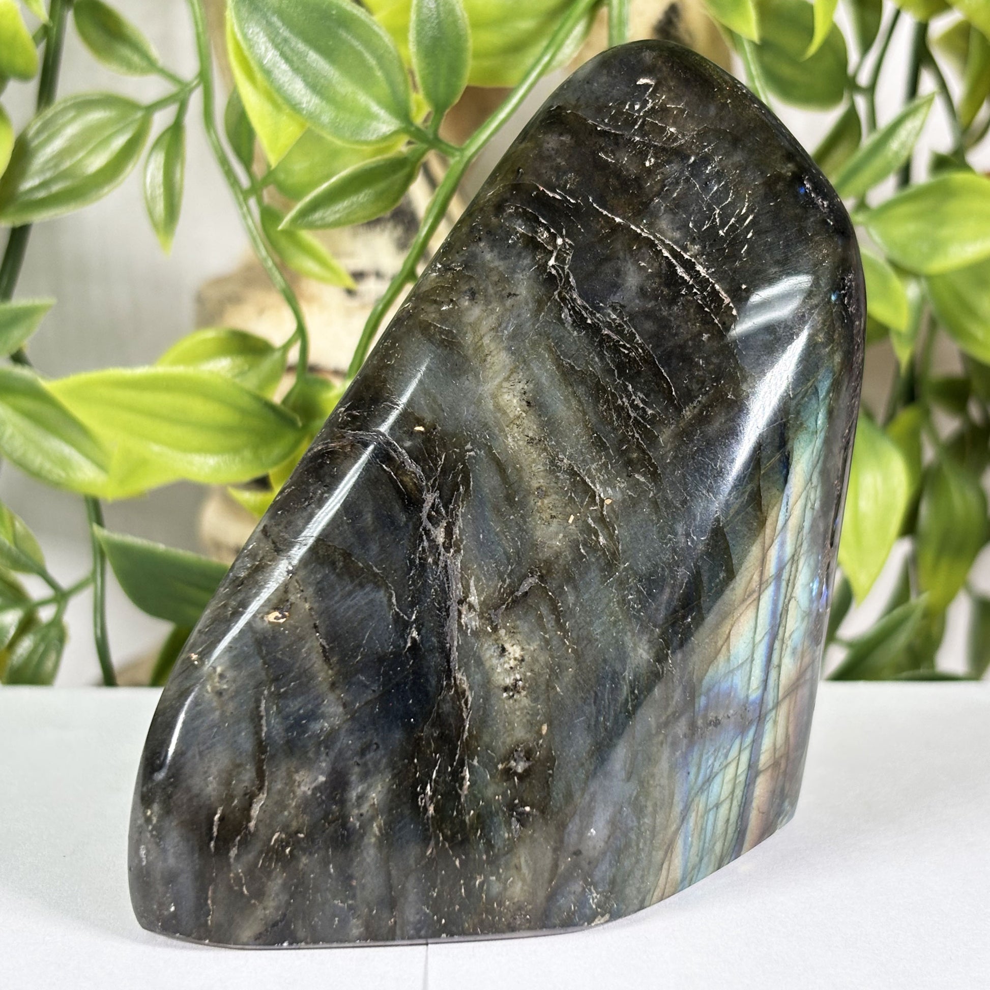 Labradorite Crystal Freeform - Gem Avenue Retail