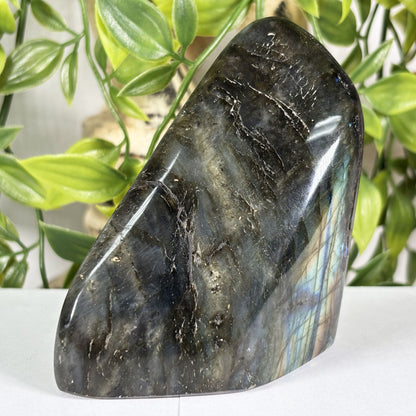 Labradorite Crystal Freeform - Gem Avenue Retail