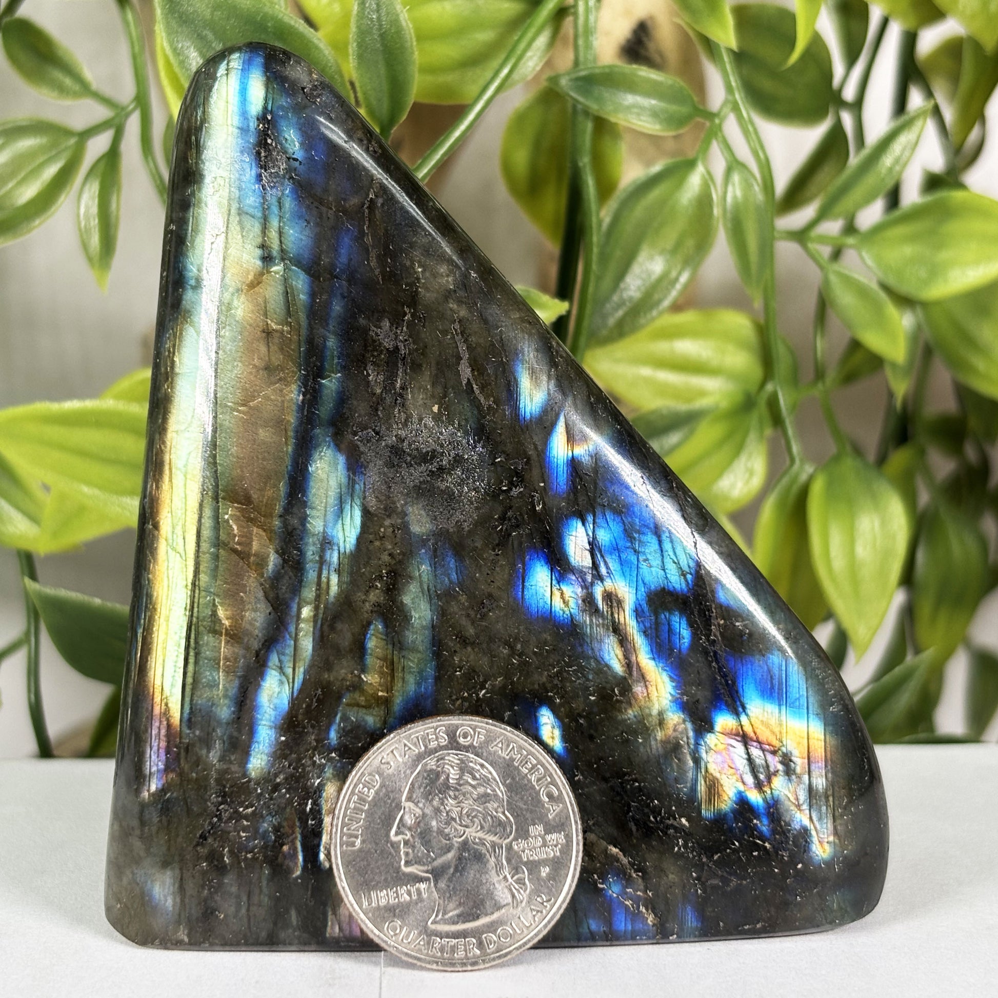 Labradorite Crystal Freeform - Gem Avenue Retail
