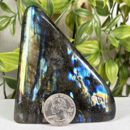 Labradorite Crystal Freeform - Gem Avenue Retail