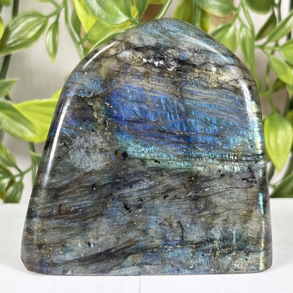 Labradorite Crystal Freeform - Gem Avenue Retail