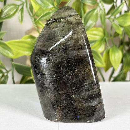Labradorite Crystal Freeform - Gem Avenue Retail