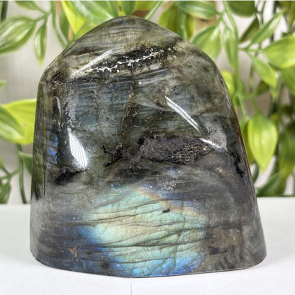 Labradorite Crystal Freeform - Gem Avenue Retail