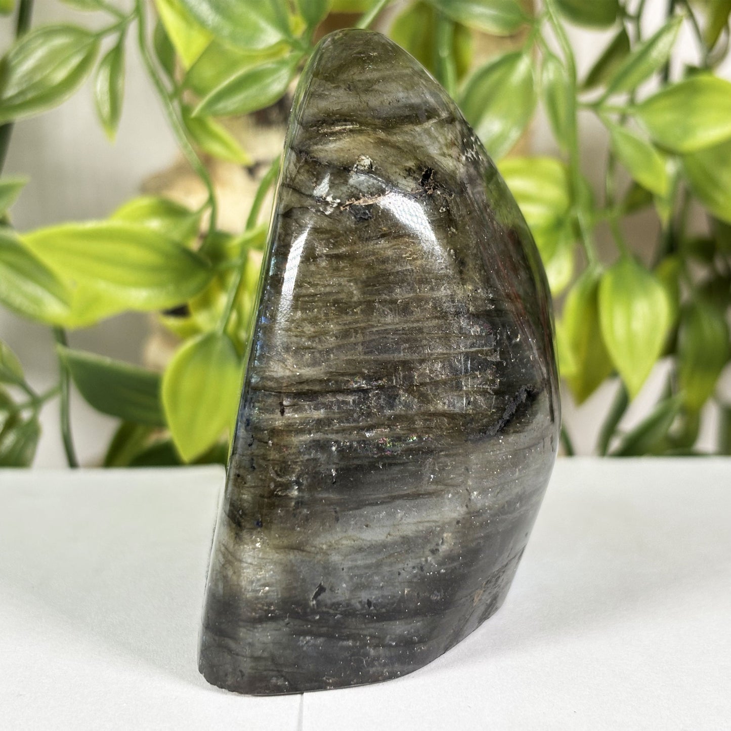 Labradorite Crystal Freeform - Gem Avenue Retail