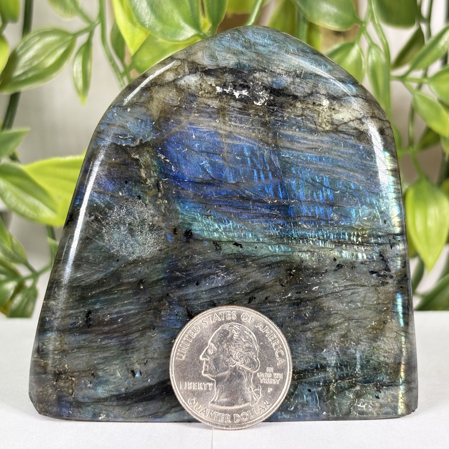 Labradorite Crystal Freeform - Gem Avenue Retail