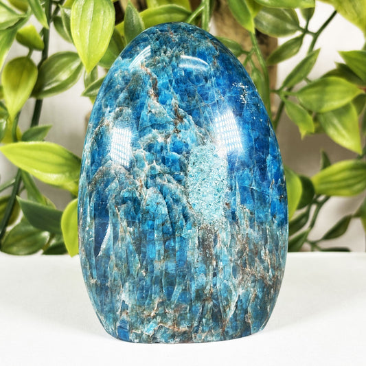 Apatite Crystal Freeform - Gem Avenue Retail