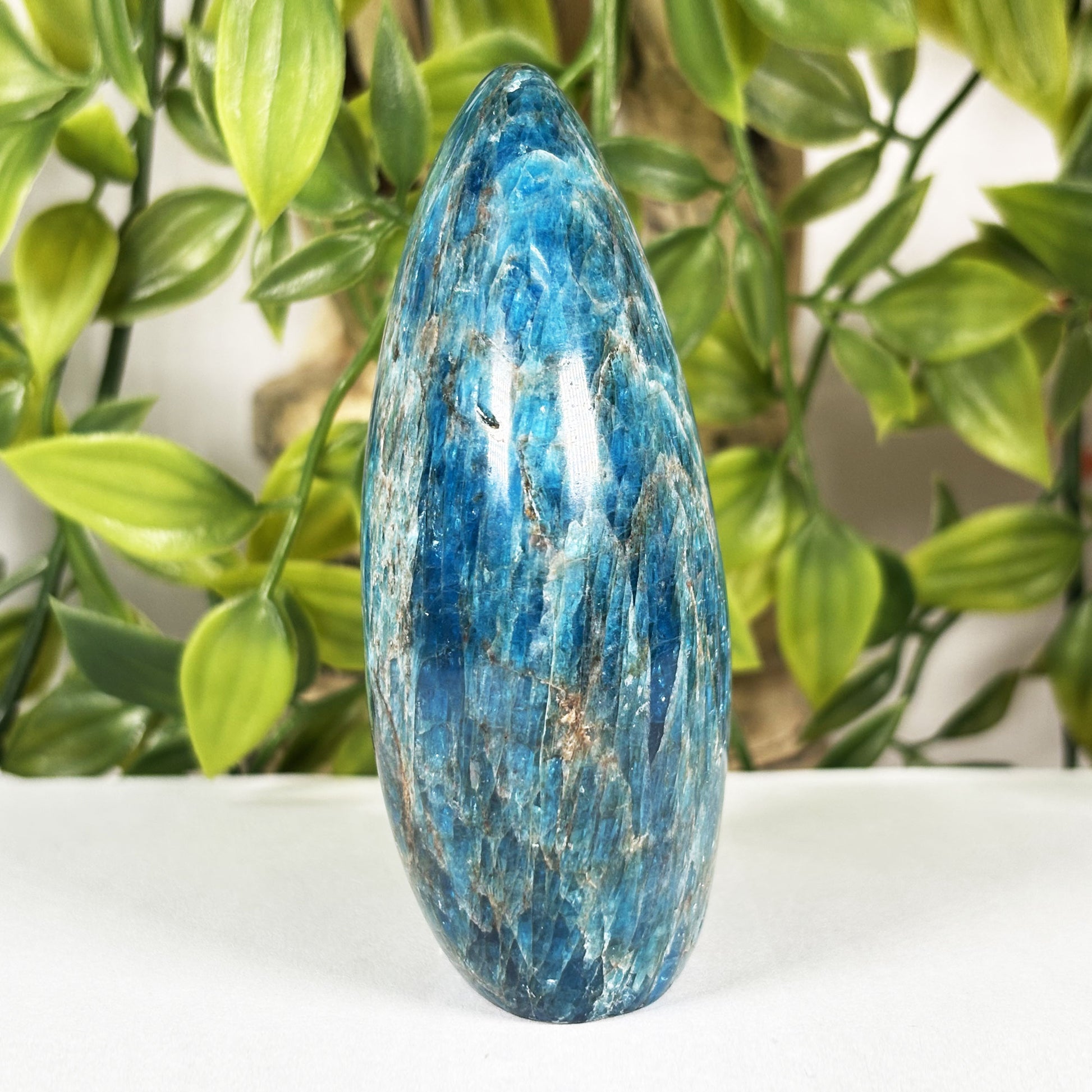 Apatite Crystal Freeform - Gem Avenue Retail