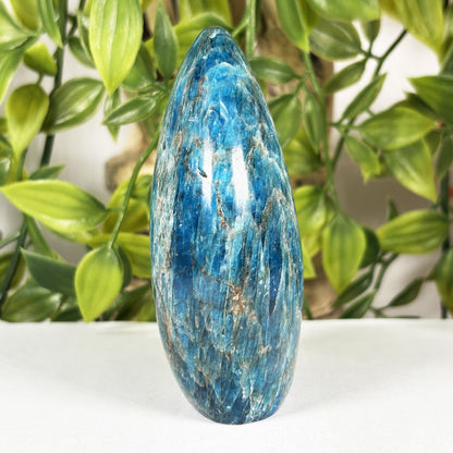 Apatite Crystal Freeform - Gem Avenue Retail