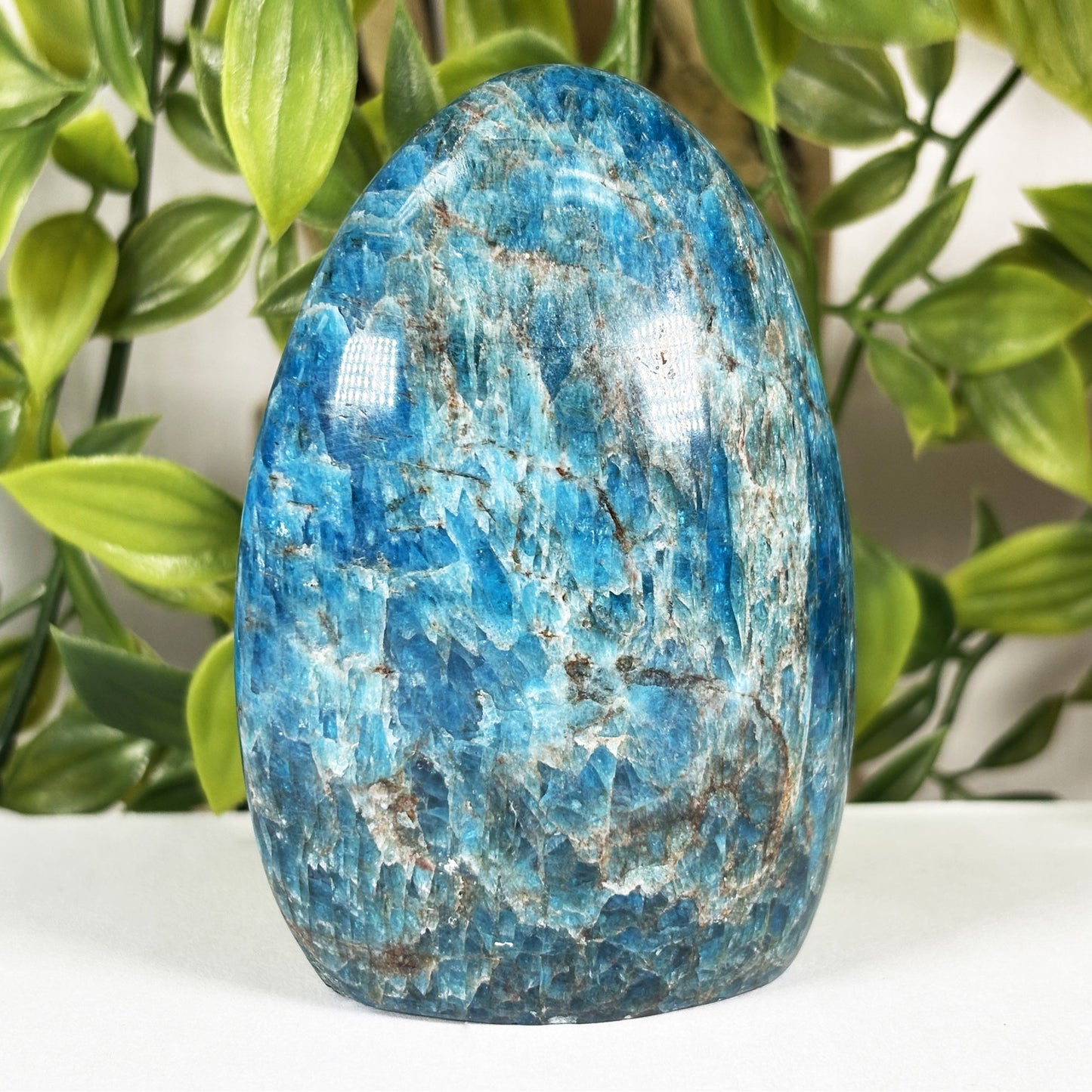 Apatite Crystal Freeform - Gem Avenue Retail