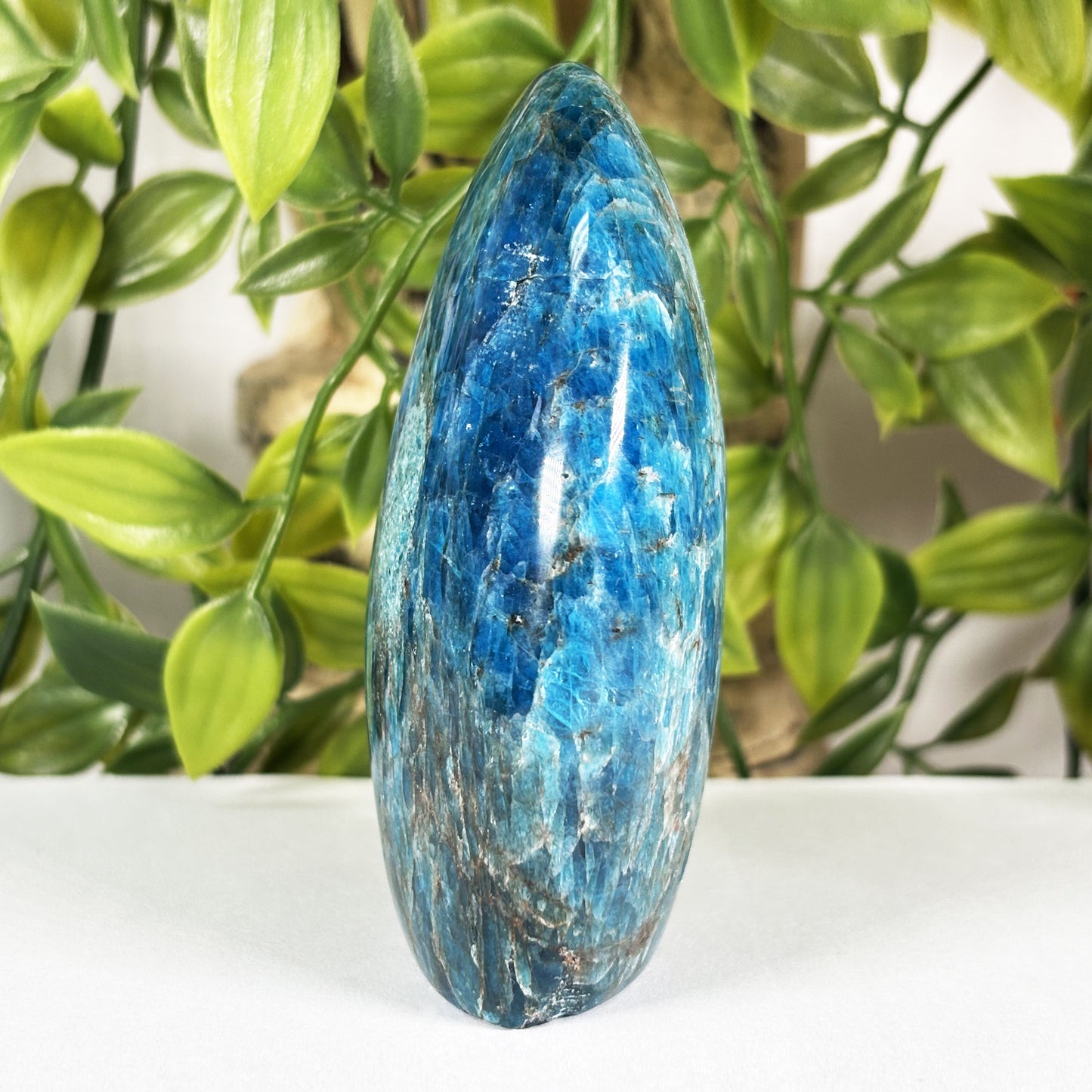 Apatite Crystal Freeform - Gem Avenue Retail