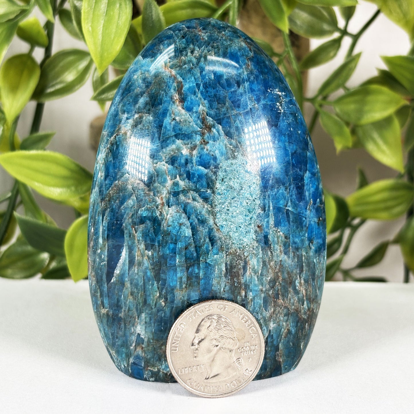Apatite Crystal Freeform - Gem Avenue Retail