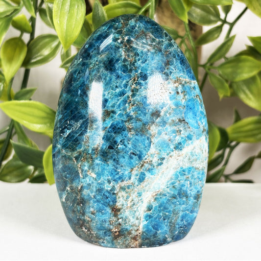 Apatite Crystal Freeform - Gem Avenue Retail 