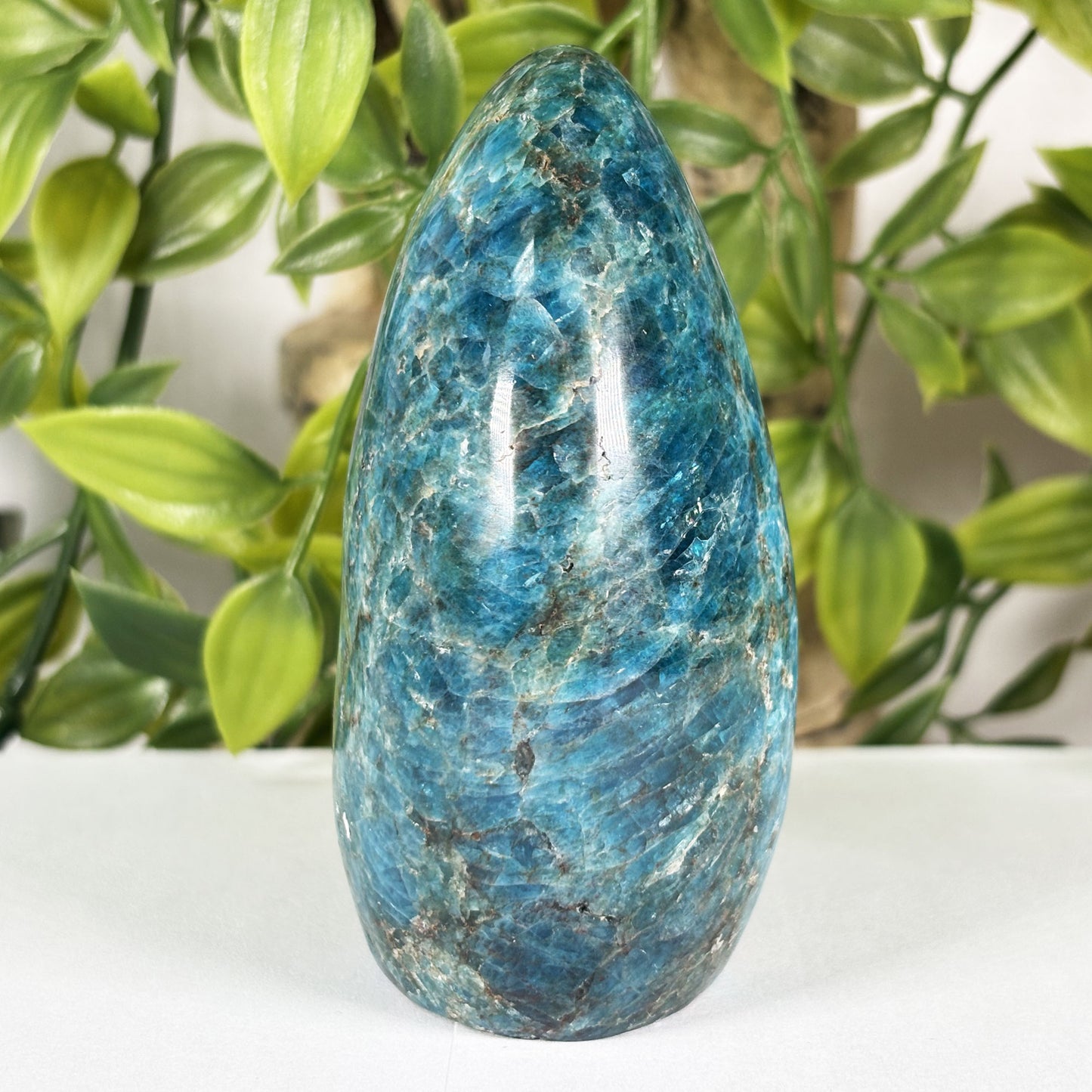 Apatite Crystal Freeform - Gem Avenue Retail 