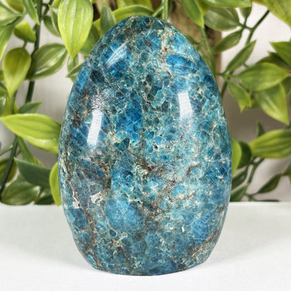 Apatite Crystal Freeform - Gem Avenue Retail 