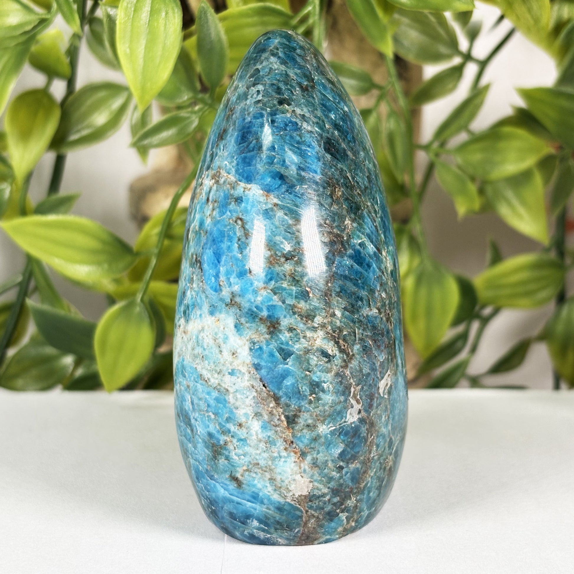 Apatite Crystal Freeform - Gem Avenue Retail 
