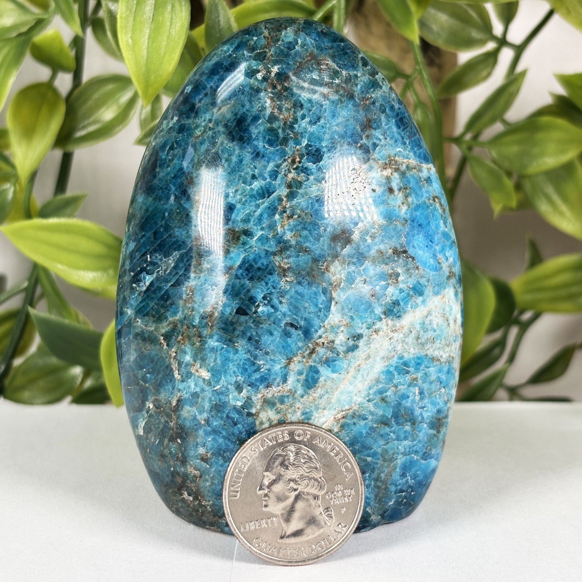 Apatite Crystal Freeform - Gem Avenue Retail 