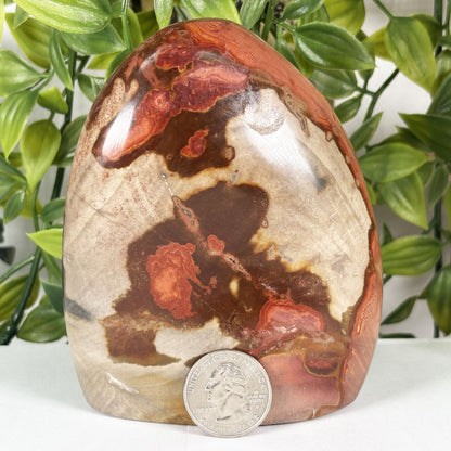 Polychrome Jasper Crystal Freeform - Gem Avenue Retail