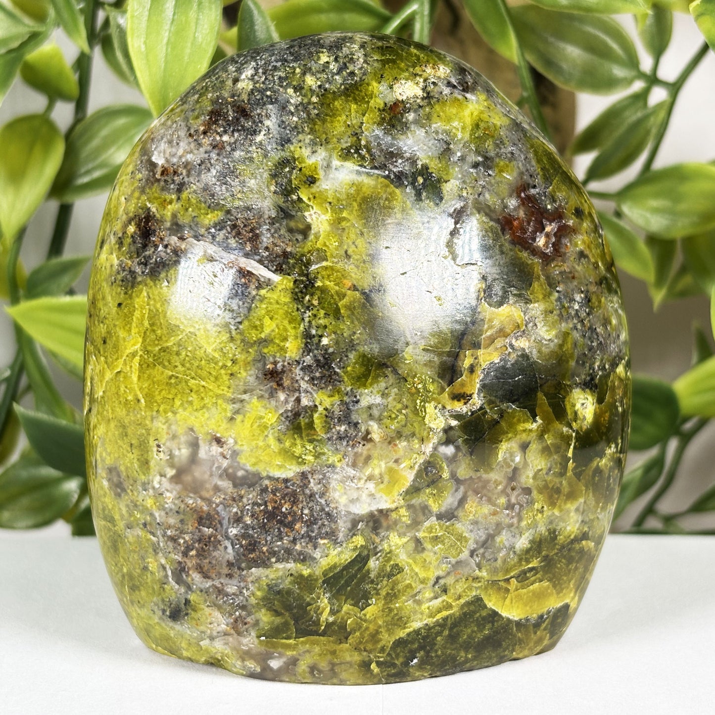 Green Opal Crystal Freeform - Gem Avenue Retail