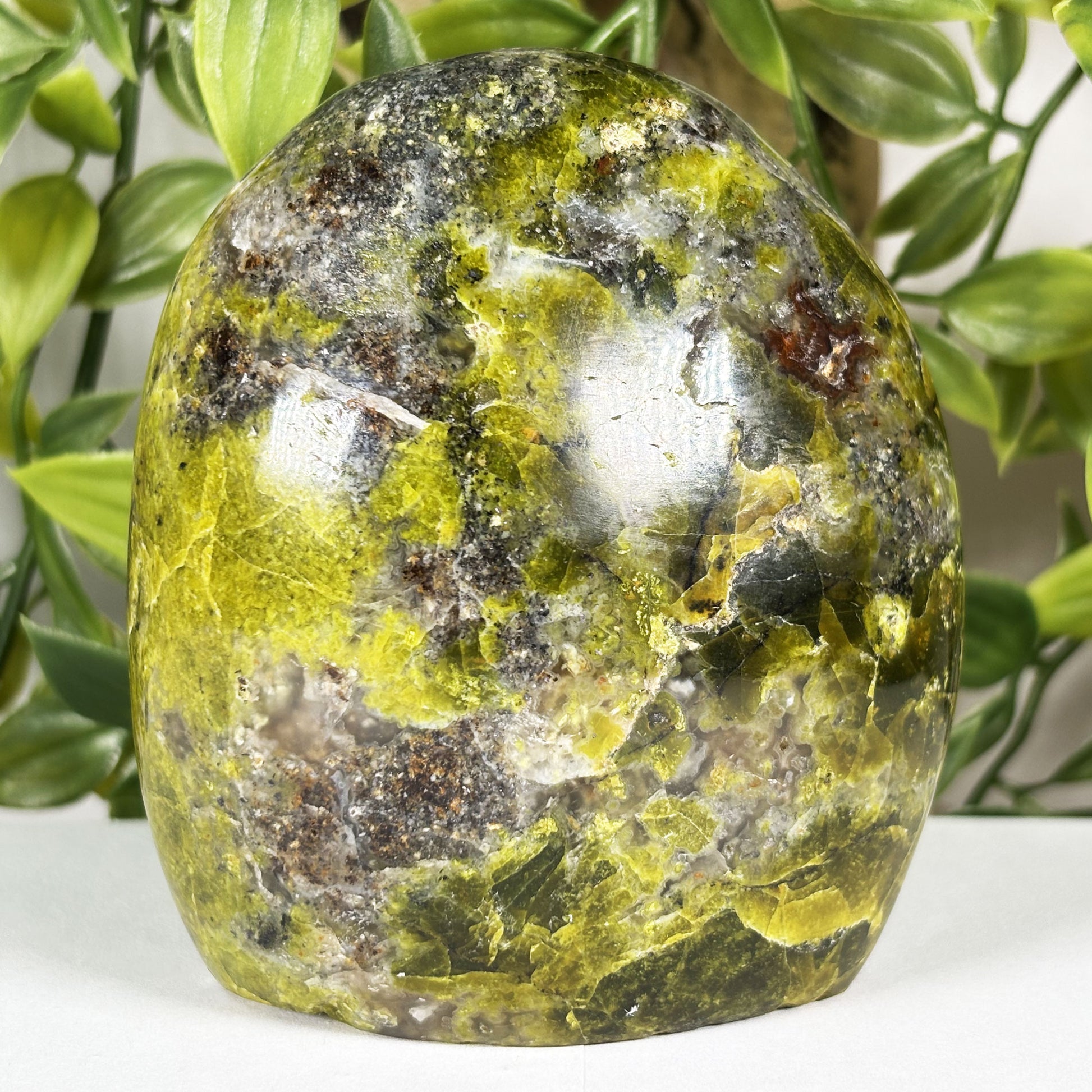 Green Opal Crystal Freeform - Gem Avenue Retail