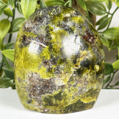 Green Opal Crystal Freeform - Gem Avenue Retail