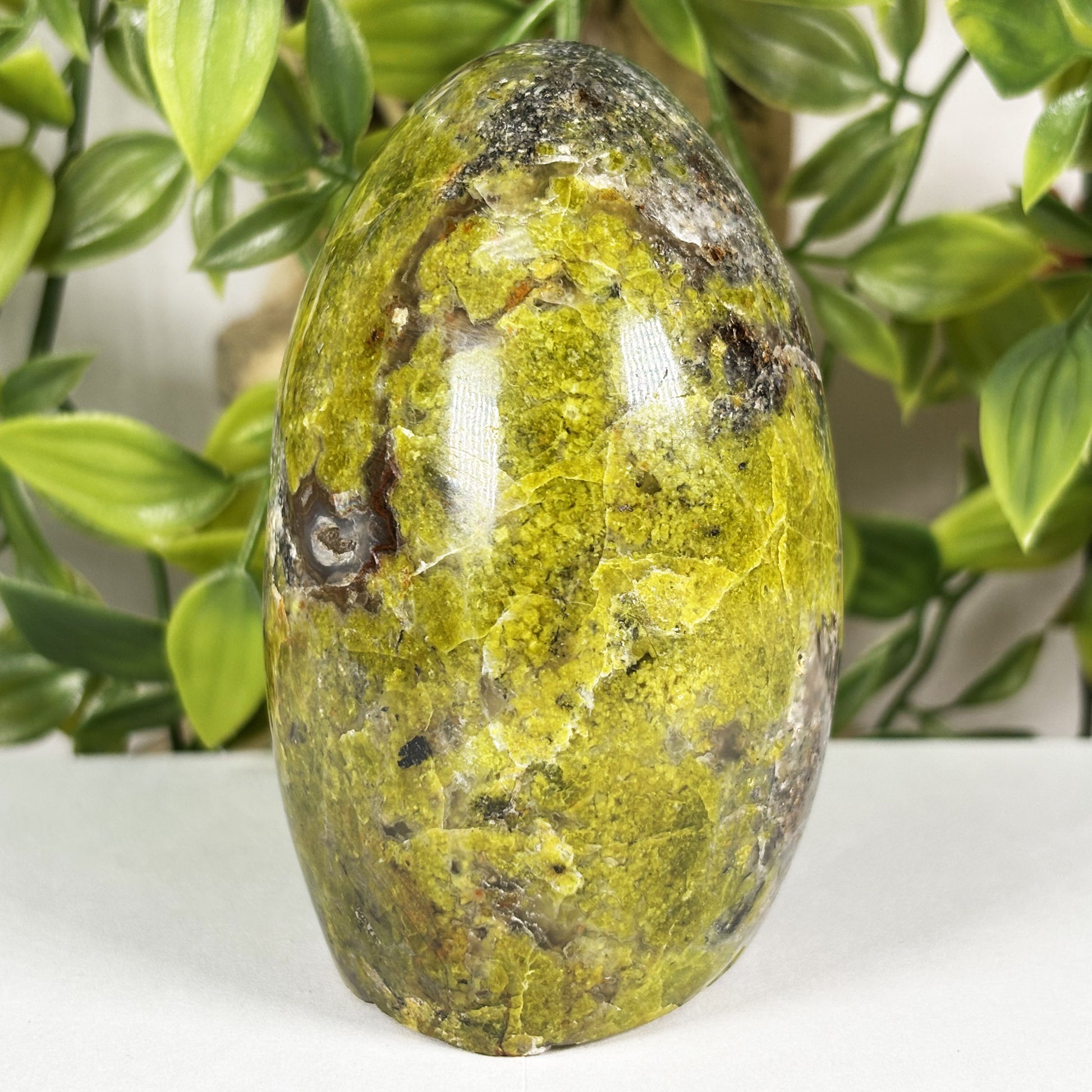 Green Opal Crystal Freeform - Gem Avenue Retail