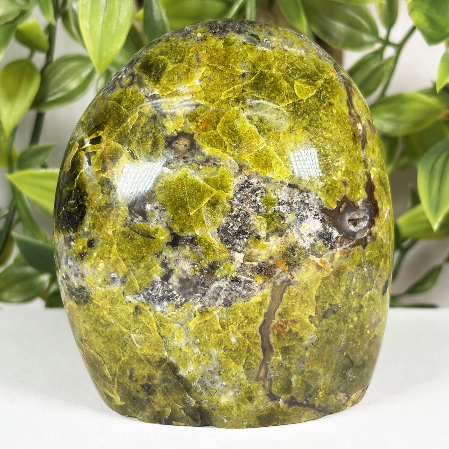 Green Opal Crystal Freeform - Gem Avenue Retail