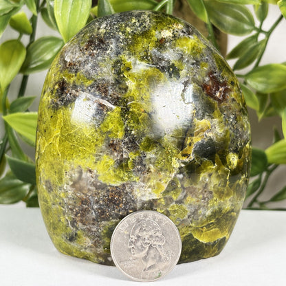 Green Opal Crystal Freeform - Gem Avenue Retail