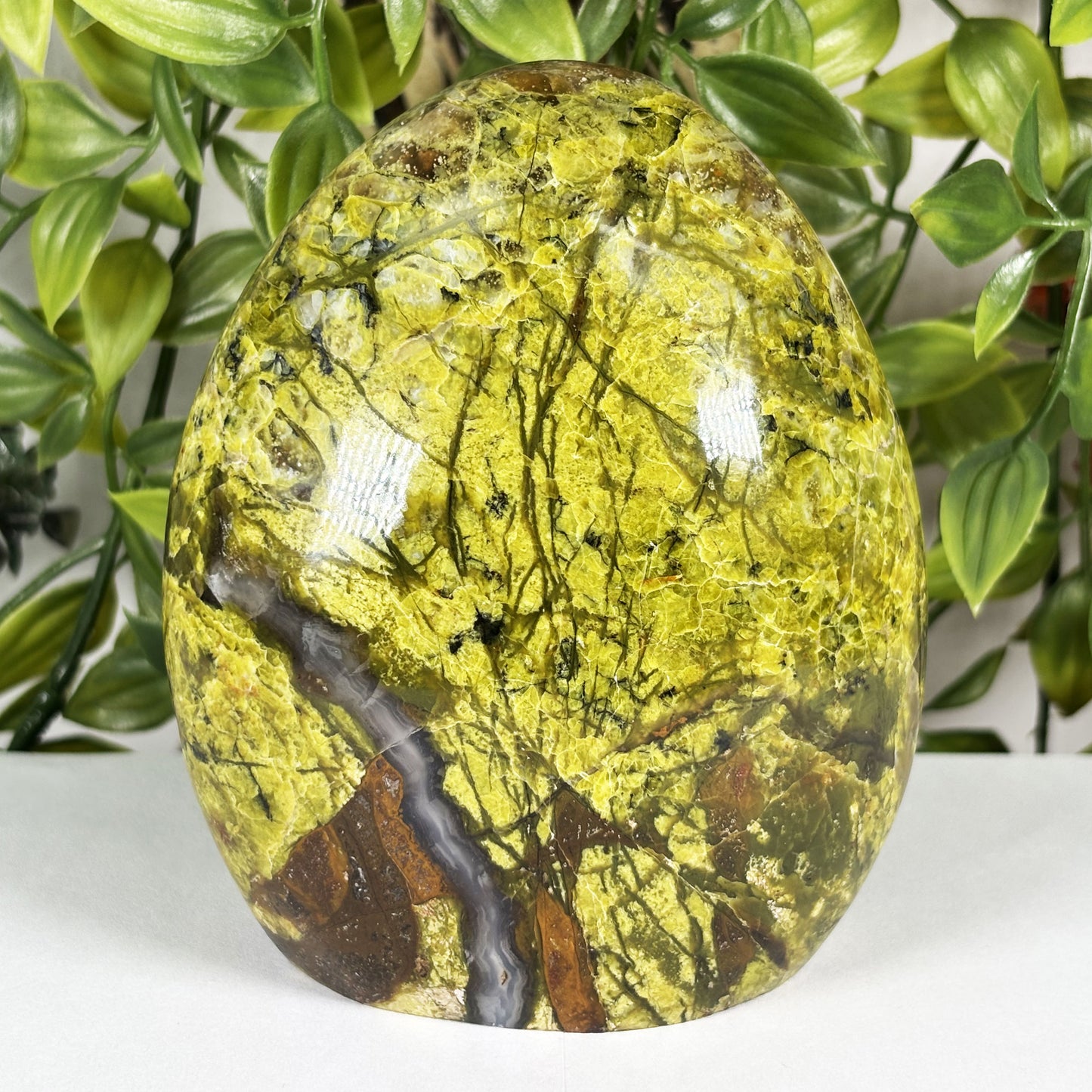 Green Opal Crystal Freeform - Gem Avenue Retail