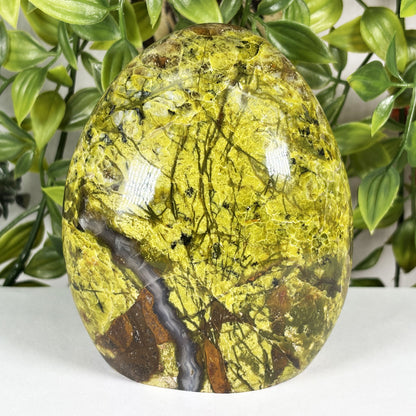 Green Opal Crystal Freeform - Gem Avenue Retail