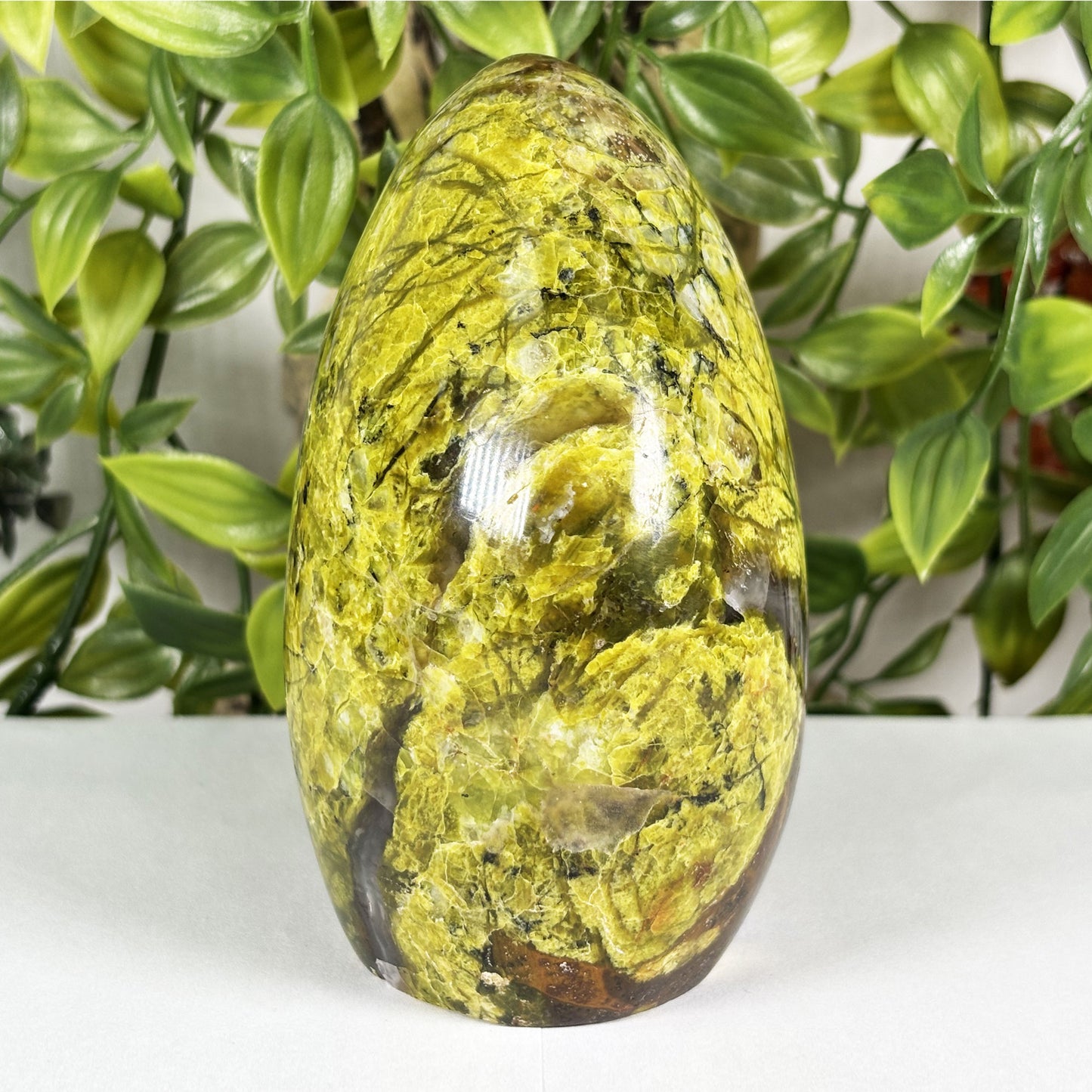Green Opal Crystal Freeform - Gem Avenue Retail