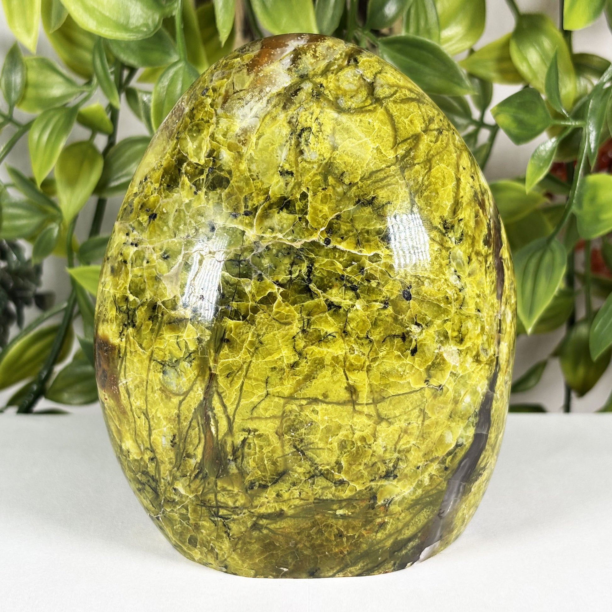 Green Opal Crystal Freeform - Gem Avenue Retail