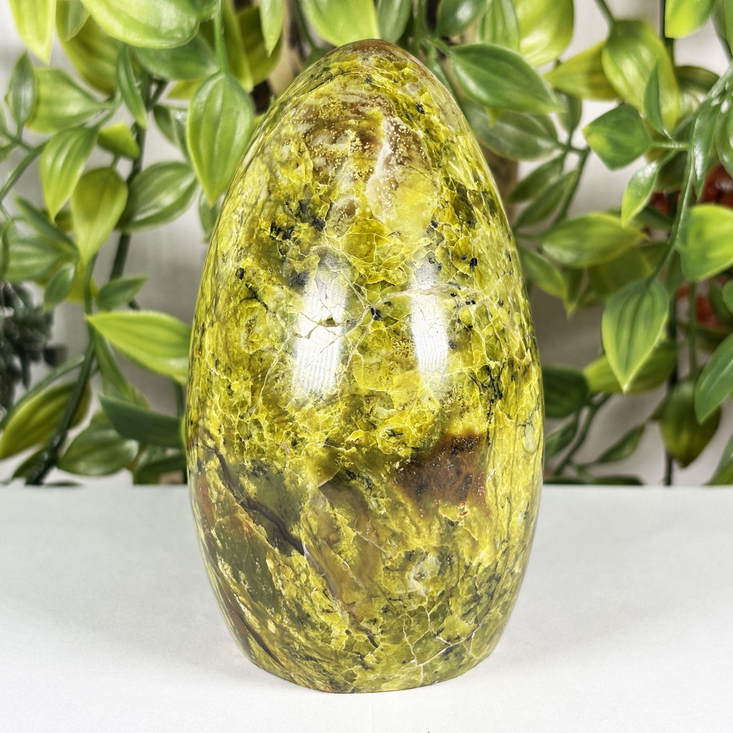 Green Opal Crystal Freeform - Gem Avenue Retail