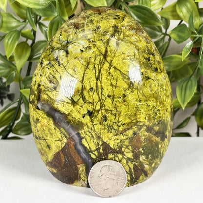 Green Opal Crystal Freeform - Gem Avenue Retail
